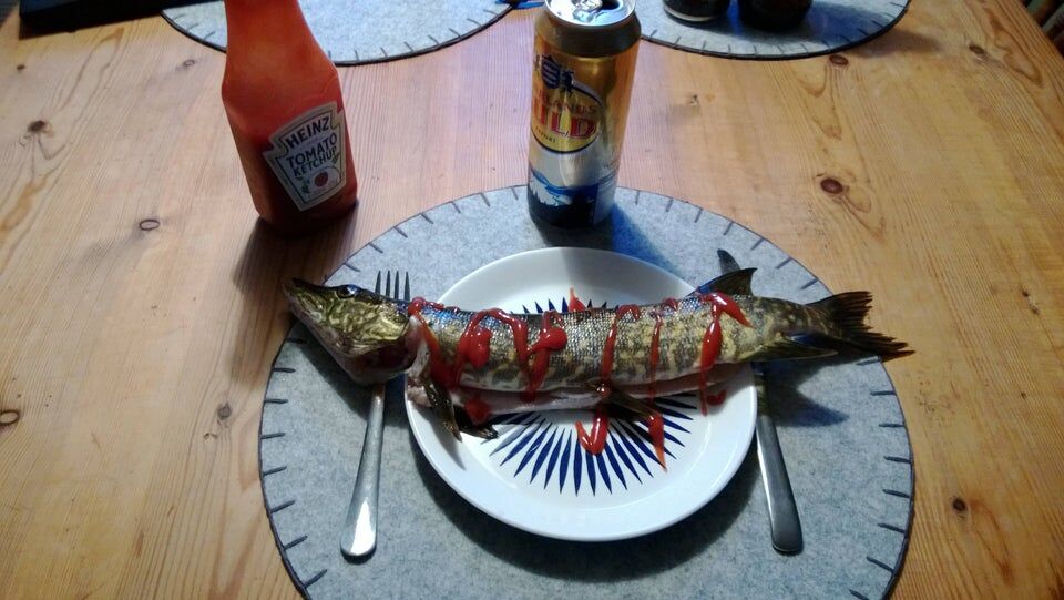 5 star dinner
